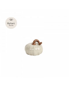 Dek pumpa ker 8x6 x10 cm vit