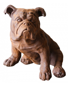 Hund Engelsk Bulldog fiber rost 7x28x30H cm